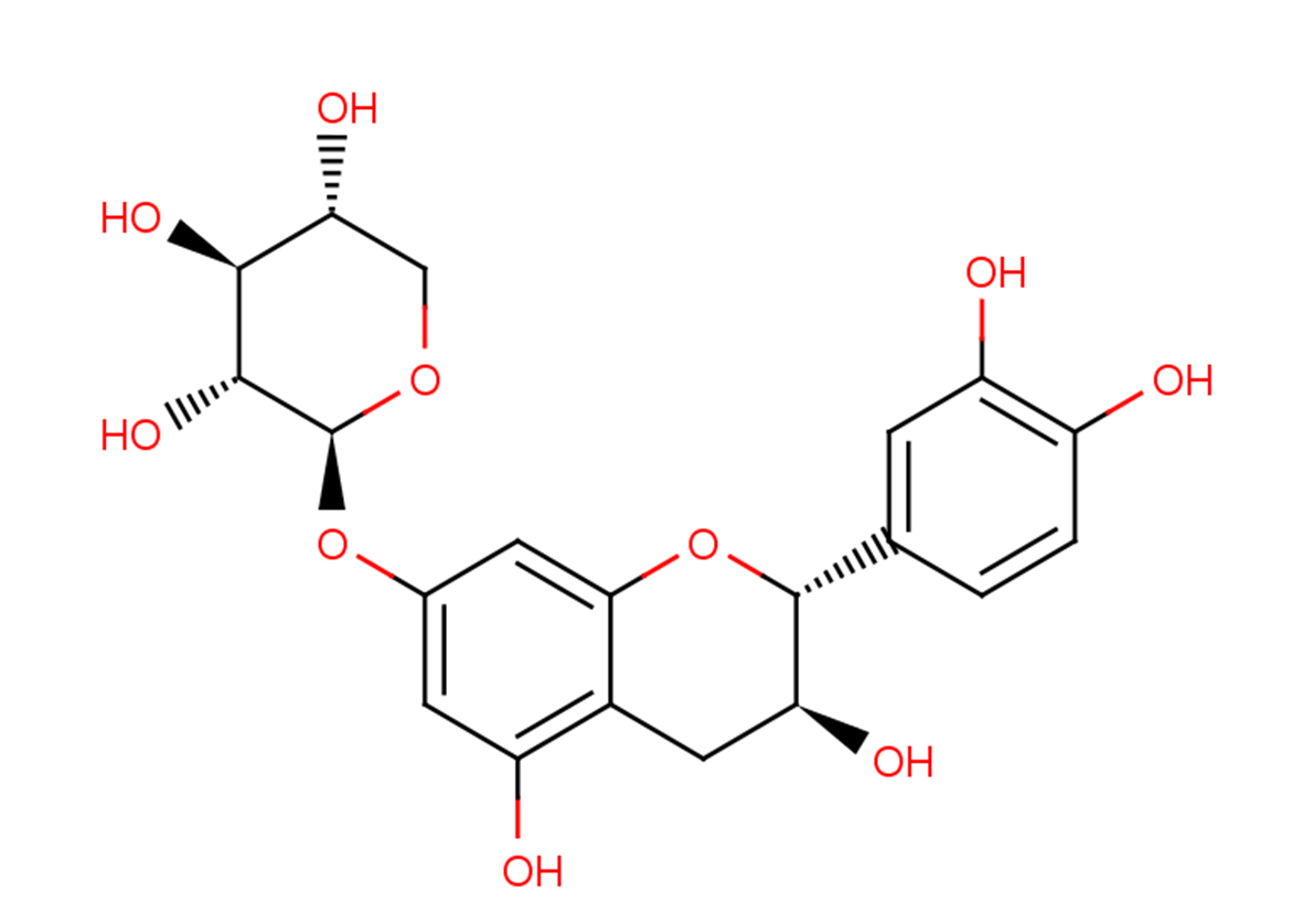 Catechin-7-O-xyloside图片