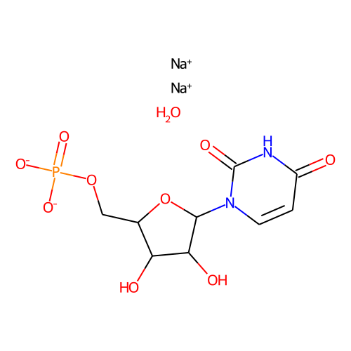 Uridine-5'-monophosphate(sodium salt hydrate)图片