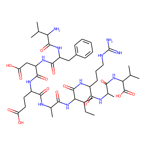 Rac GTPase fragment图片