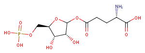 Glutamyl ribose 5-phosphate图片