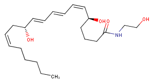 Leukotriene B4 Ethanolamide图片