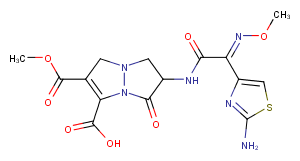 LY 173013图片