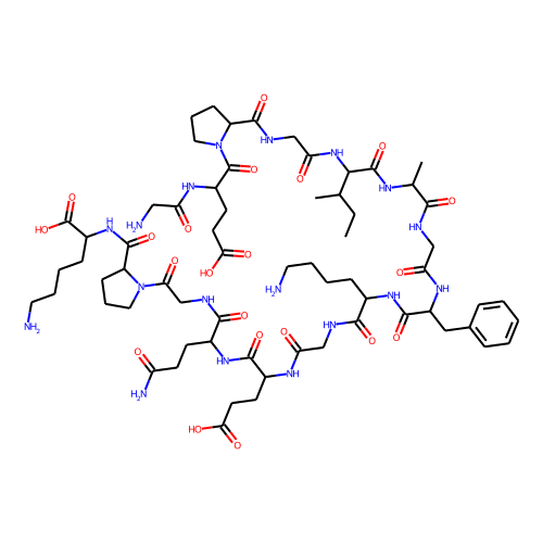 type II collagen fragment图片