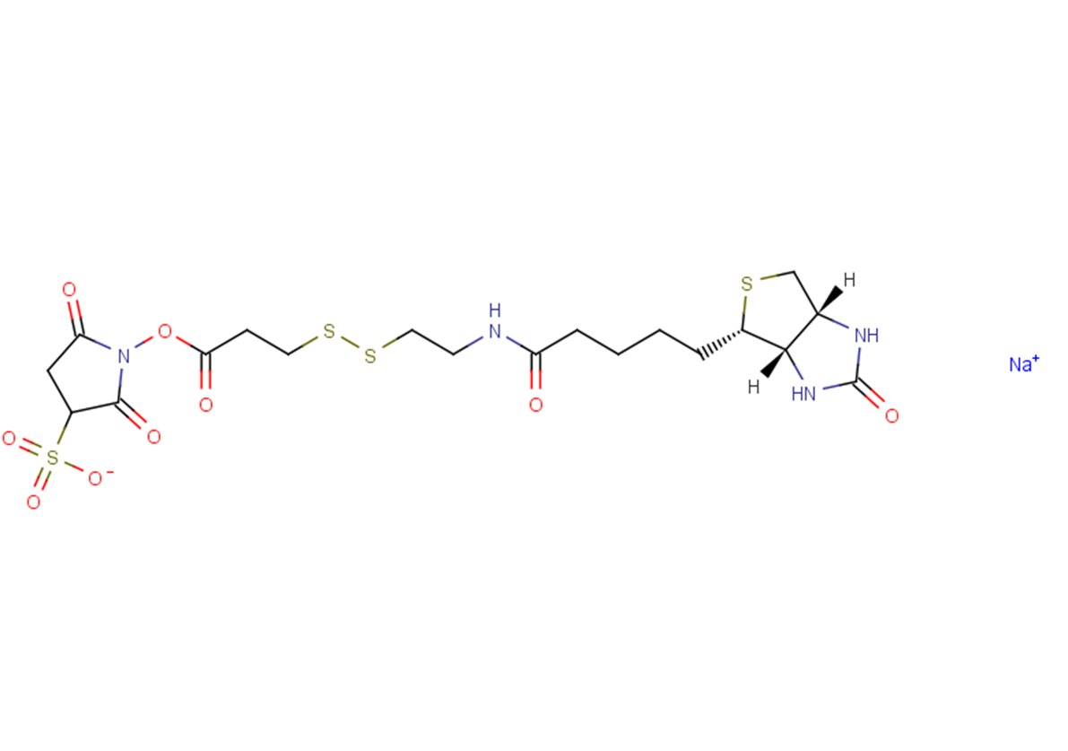 Sulfo-NHS-SS-Biotin sodium图片