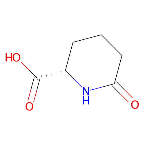 L-Pyrohomoglutamic Acid图片