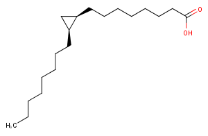 cis-9,10-Methyleneoctadecanoic Acid图片