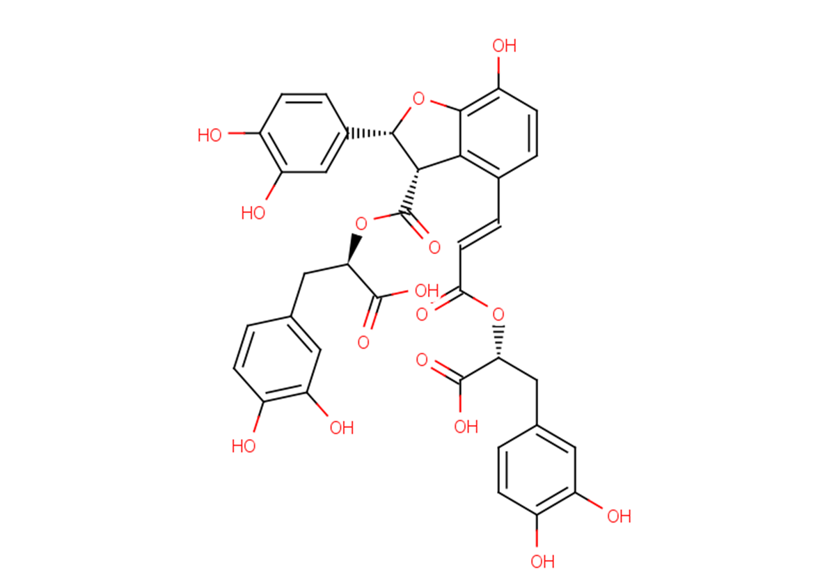 Salvianolic acid Y图片