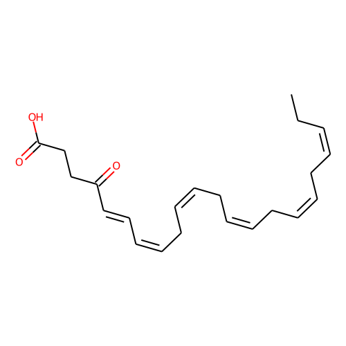 4-oxo Docosahexaenoic Acid图片