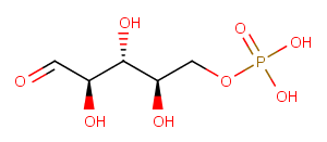 D-Ribose 5-phosphate图片
