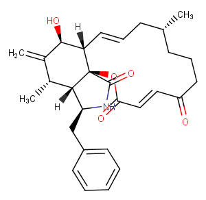 Cytochalasin A图片