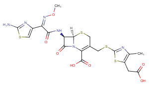 Cefodizime图片