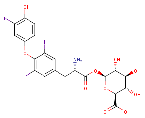 T3 Acyl glucuronide图片
