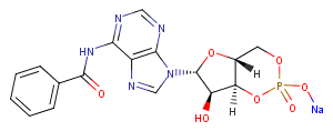 6-Bnz-cAMP sodium salt图片