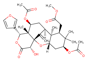 Sandoricin图片