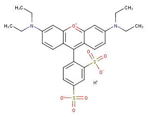 Lissamine rhodamine B图片