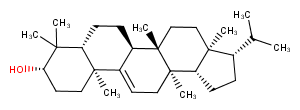 Isoarborinol图片