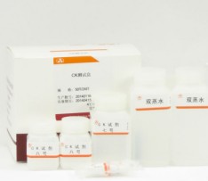 甘油三酯(TG)检测试剂盒(乙酰丙酮微板法)图片