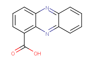 Phenazine-1-carboxylic acid图片