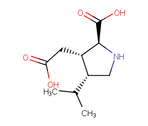 Dihydrokainic acid图片