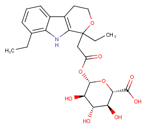 Etodolac Acyl Glucuronide图片