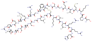 BNP(1-32),human图片
