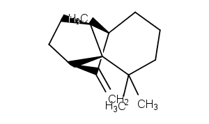 (+)-Longifolene图片