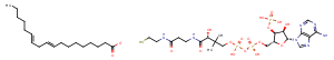 Linoleoyl-coenzyme A图片