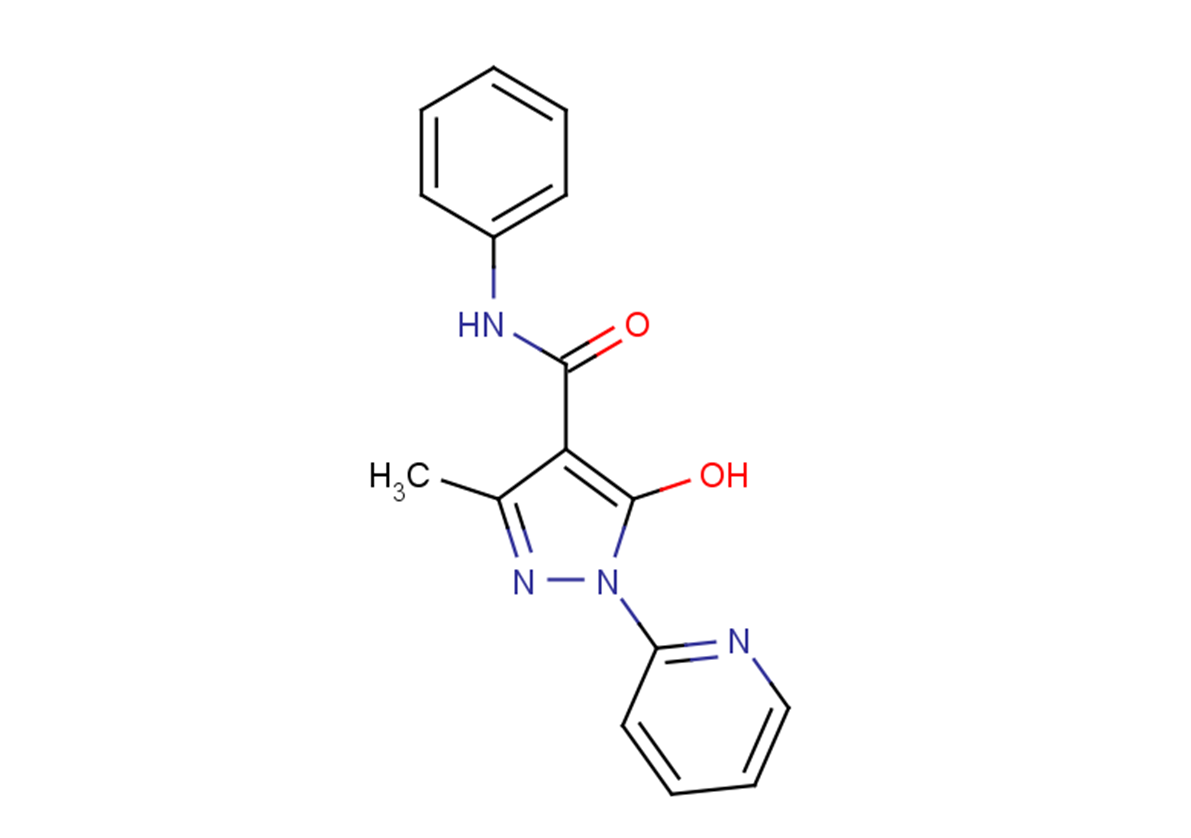 DMT1 blocker 1图片