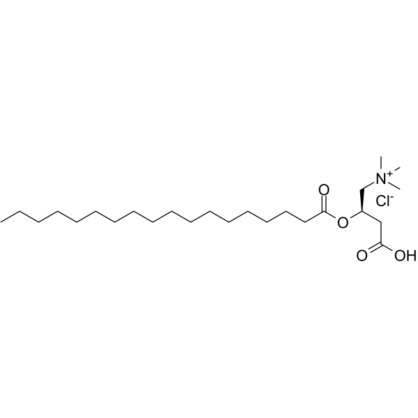 Stearoyl-L-carnitine chloride图片