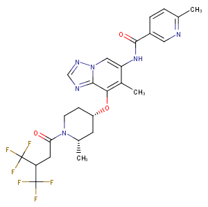 RORγt Inverse agonist 10图片