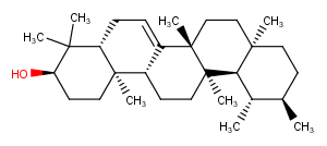 Bauerenol图片