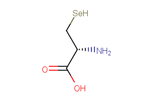 SelenocysteineͼƬ