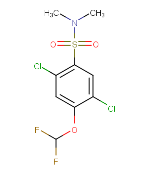 2,5-dichloro-4-(difluoromethoxy)-N,N-dimethylbenzene-1-sulfonamide图片