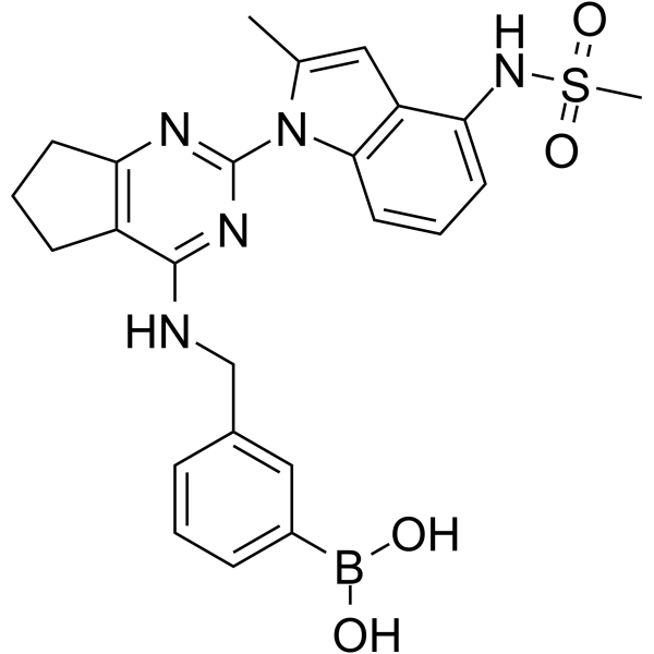 VCP/p97 inhibitor-1图片