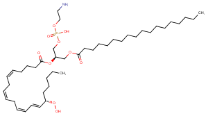 1-Stearoyl-2-15(S)-HpETE-sn-glycero-3-PE图片