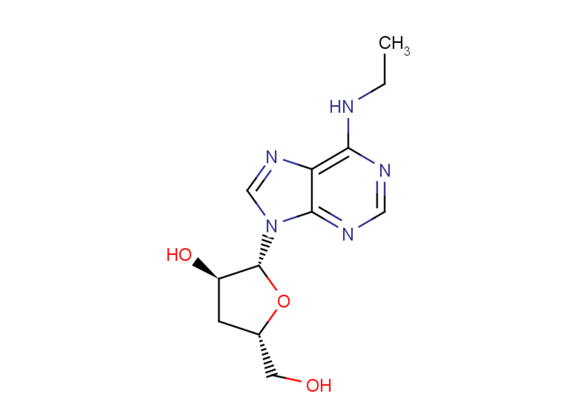 3'-Deoxy-N6-ethyladenosine图片