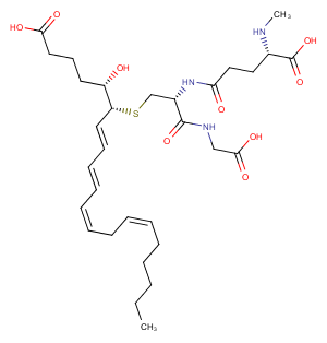 N-methyl Leukotriene C4图片