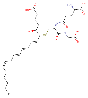 11-trans Leukotriene C4图片