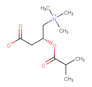 Isobutyryl-L-carnitine图片
