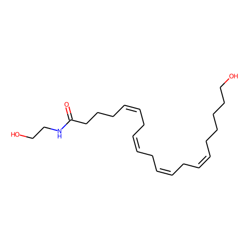 20-HETE Ethanolamide图片