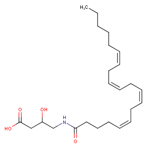 N-Arachidonoyl-3-hydroxy-γ-Aminobutyric Acid图片