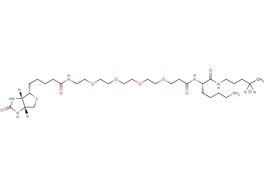 Biotin-probe 1图片