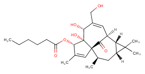 Ingenol 3-Hexanoate图片