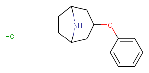3-phenoxy-8-azabicyclo[3,2,1]octane hydrochloride图片