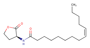 N-cis-tetradec-9Z-enoyl-L-Homoserine lactone图片
