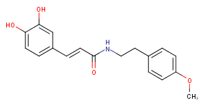 N-Caffeoyl O-methyltyramine图片