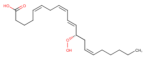 12(S)-HpETE图片