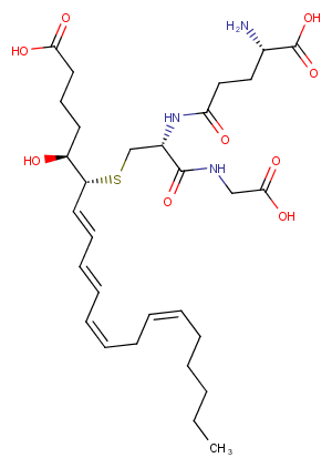 Leukotriene C4图片