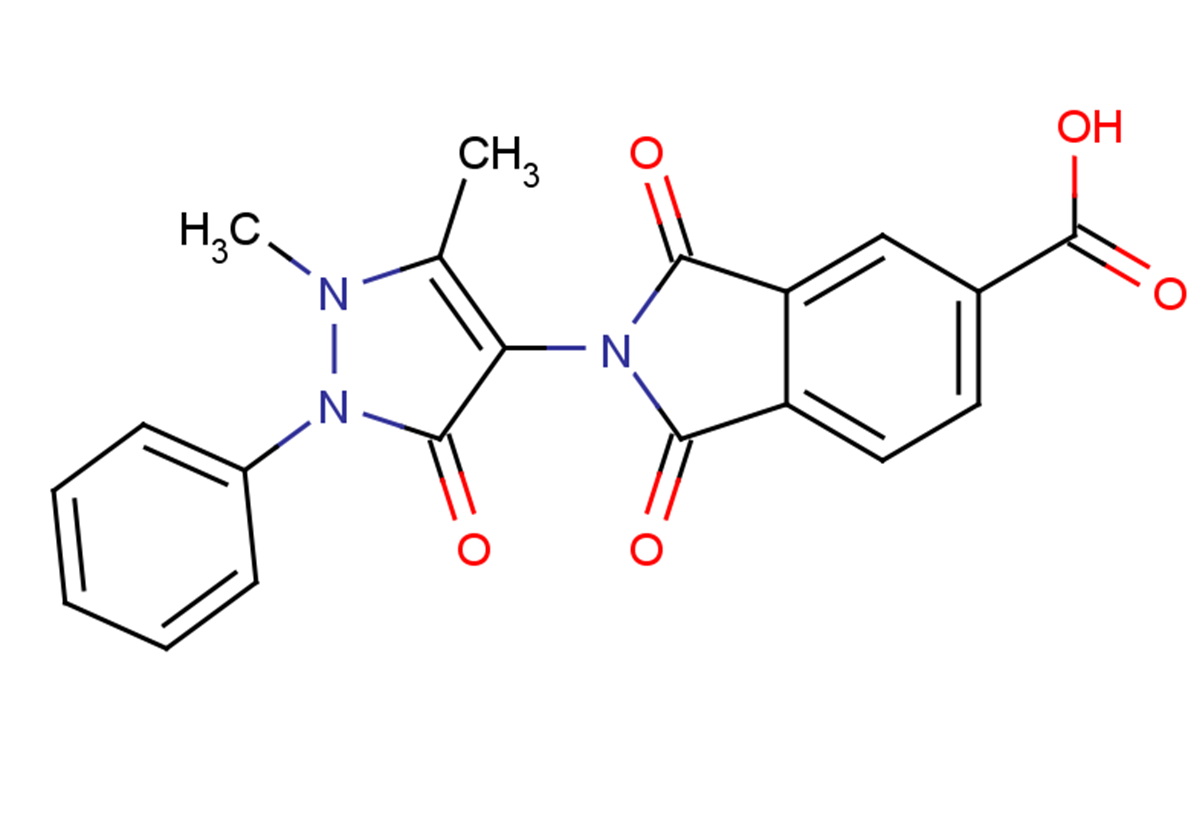 BV02图片