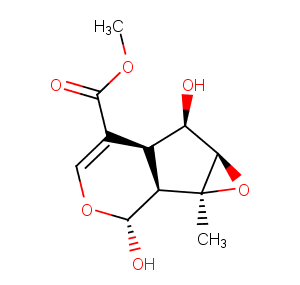 Lamiophlomiol A图片